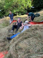 Vogelwiese Eisbaeren 2023